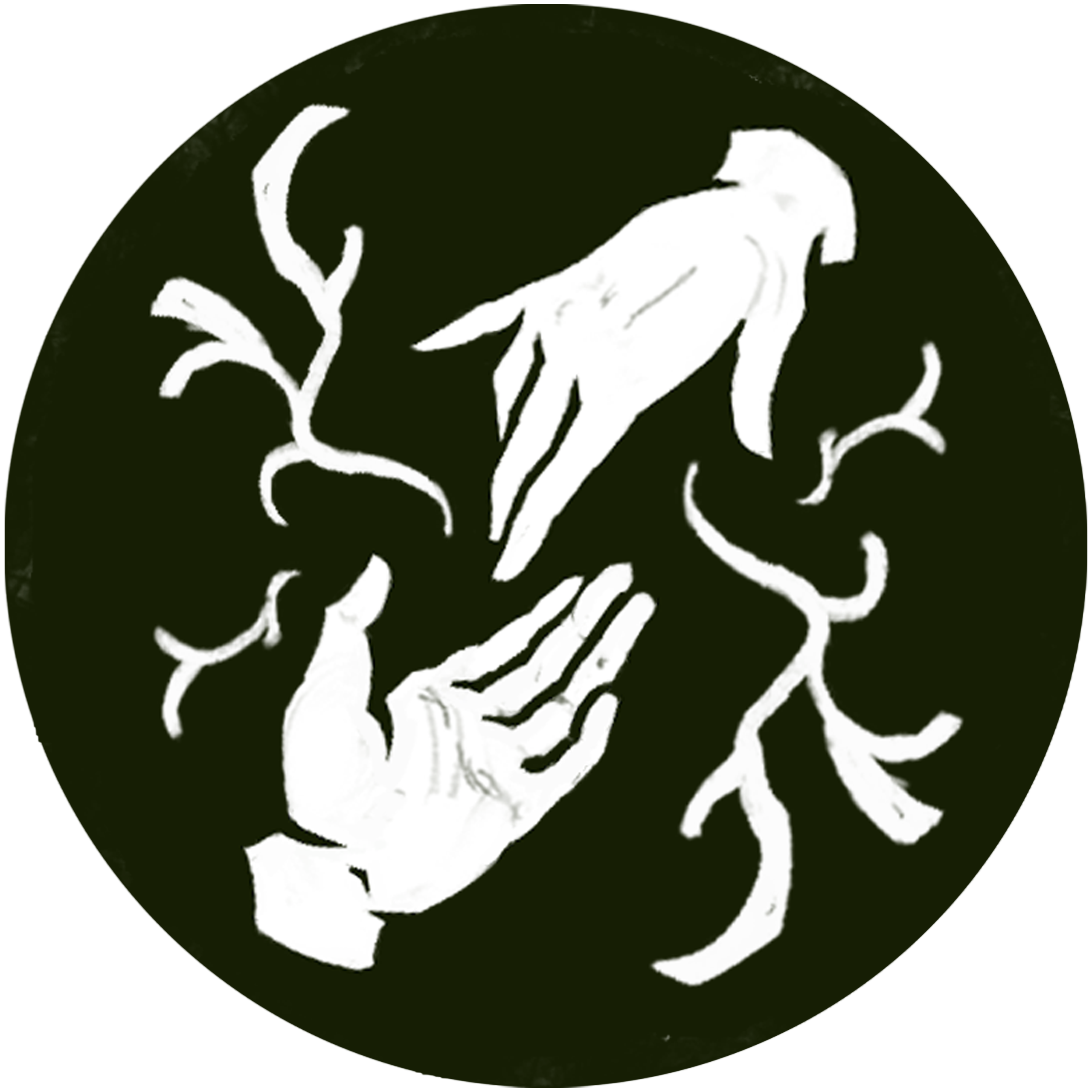 lichen studio